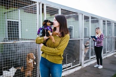 dog choose guide