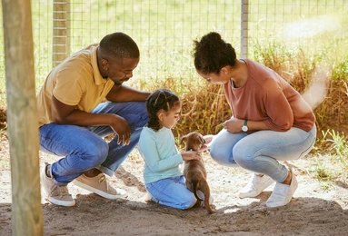 Dog Choose Guide