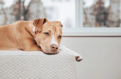 boredom